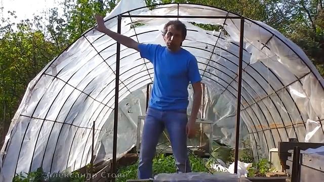 Недорогая Арочная теплица своими руками. смотреть онлайн
