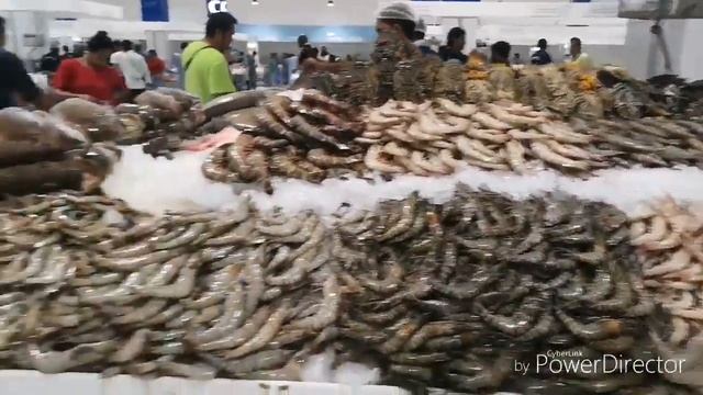 Exploring Dubai #1 Tara!!! Pasukin natin ang Waterfront Fishmarket ng Dubai смотреть онлайн