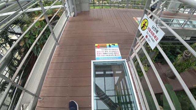 Ботанический сад в городе Кёнджу || Gyeongju Botanical Garden смотреть онлайн