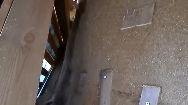 Льняные маты смотреть онлайн