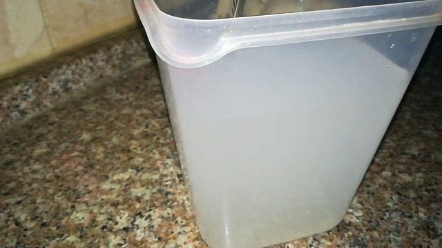 Засолка рыбы и икры в домашних условиях