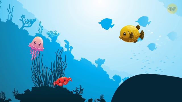 What the Earth Went Through Before We Appeared смотреть онлайн