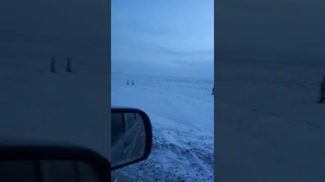 Переход оленей через дорогу. Семаки. смотреть онлайн
