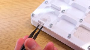 ПЕРЕСЕЛЕНИЕ ОГРОМНОЙ СЕМЬИ МУРАВЬËВ ЖНЕЦОВ ИЗ ИЗРАИЛЯ! Messor ebeninus - Большое Расширение!