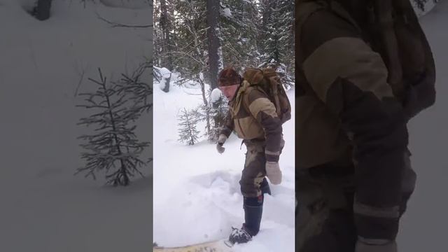 Лыжи Шатун камус