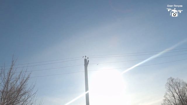 Тепловка. Озеро 1.04.2023 смотреть онлайн