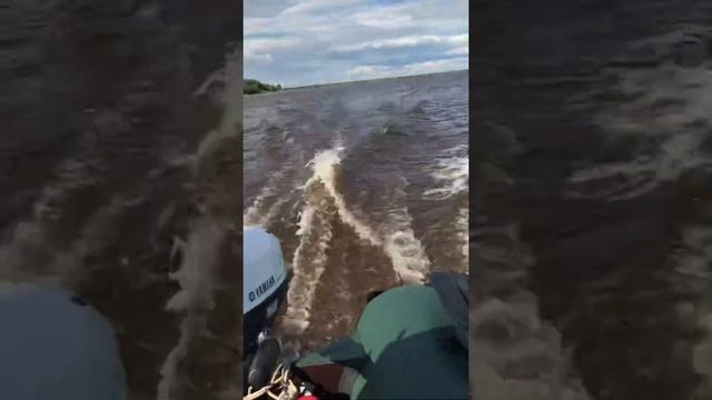 Лодка Хантер 320 НДНД , с мотором Ямаха 4, четырёх тактная, река Иртыш. смотреть онлайн