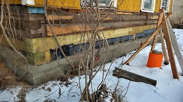 Ремонт деревянного дома: замена гнилых венцов, ремонт фундамента, настил полов по лагам смотреть онлайн
