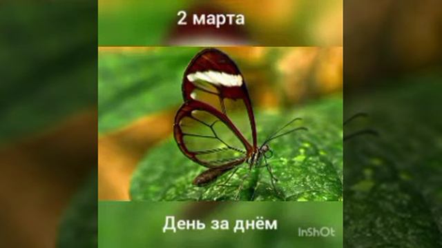 2 марта. День за днëм смотреть онлайн