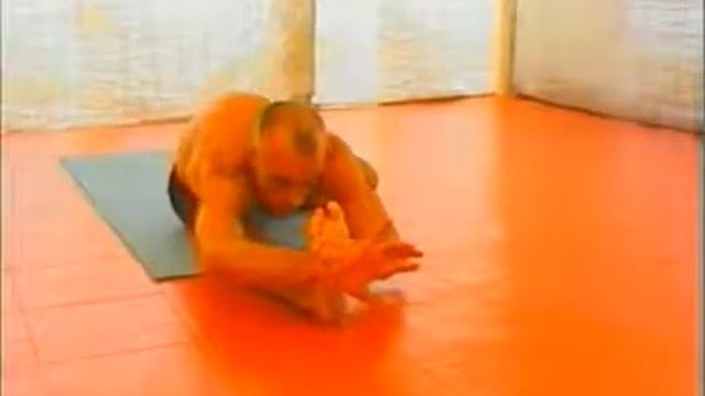 Лино Милини 1 последовательность. Lino Miele Astanga Yoga Primary Series Full Vinyasa