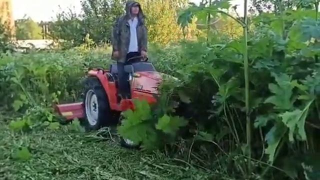 Как уничтожить Борщевик Сосновского смотреть онлайн