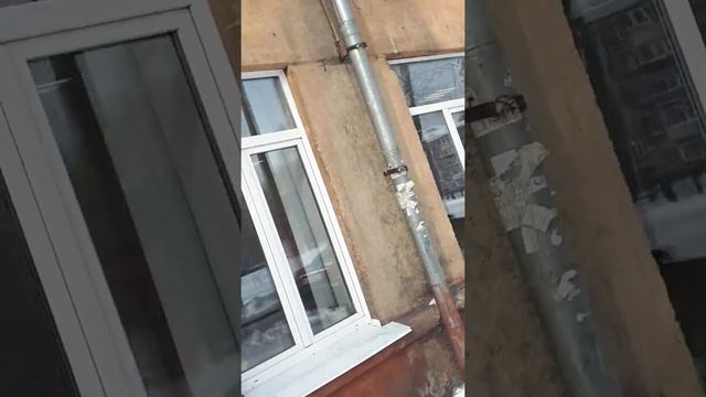 вот что значит пьяным по городу ходить!!!! можно ведь таких людей увидеть в нашей в России :)):) смотреть онлайн