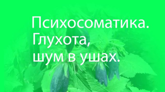Психосоматика- воспаление уха, глухота, шум в ушах