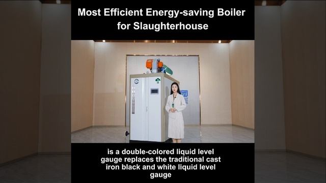 Most Efficient Energy-saving Boiler for Slaughterhouse смотреть онлайн