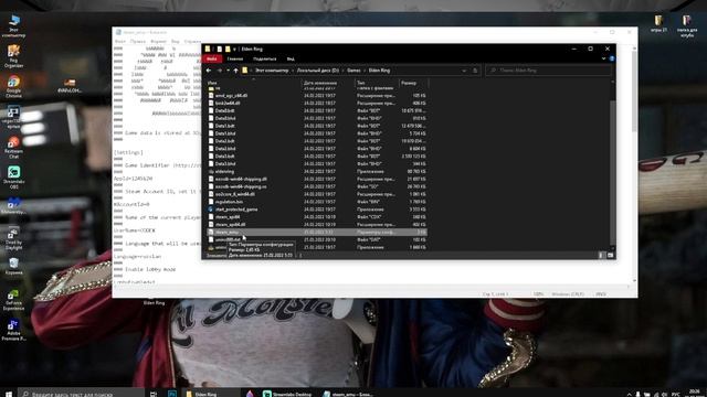 ELDEN RING выдает ошибку 0xc0000142 ! как поменять на русский язык? Решение с проблемы с пираткой смотреть онлайн