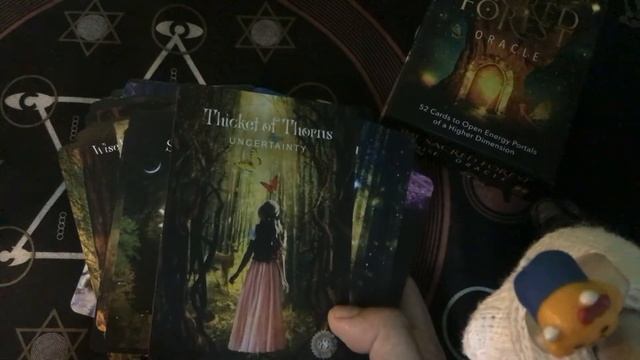 " พี่หมีรีวิวไพ่ " Oracle 05 : The Sacred Forest Oracle смотреть онлайн