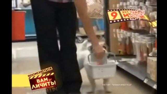 приколы на ютубе новинки 2016 смотреть онлайн