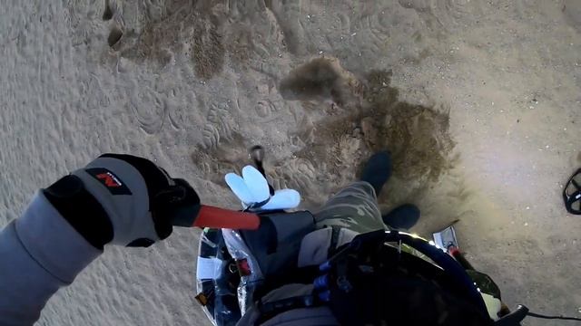 MineLab X-Terra Pro Found Very Rare Korean Old 4294-1969 Coins And Silver Ring l MKD [74] смотреть онлайн