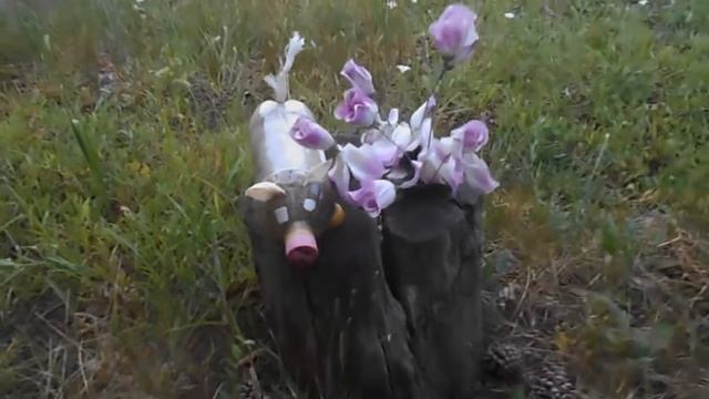 # 151. У лукоморья дуб зеленый. Собачья цепь на дубе том.... Обзор двора и жилья в Бабах-Тараме. смотреть онлайн