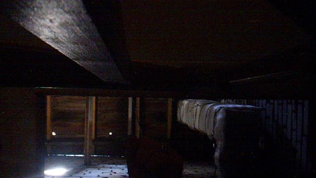 Трезвон к Евангелию на Литургии 21 июля 2024