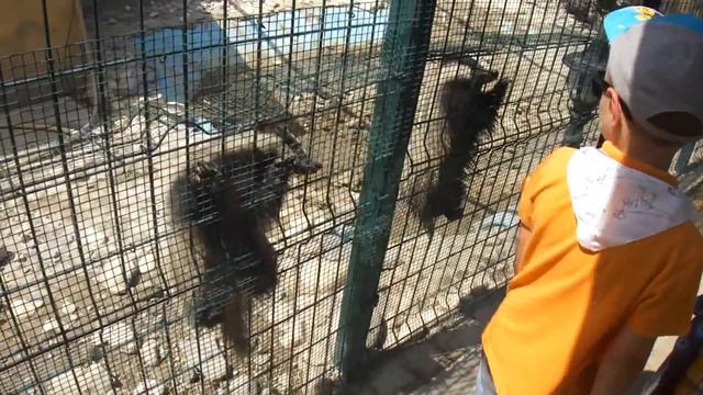 Парк динозавров Турция 3 часть смотреть онлайн