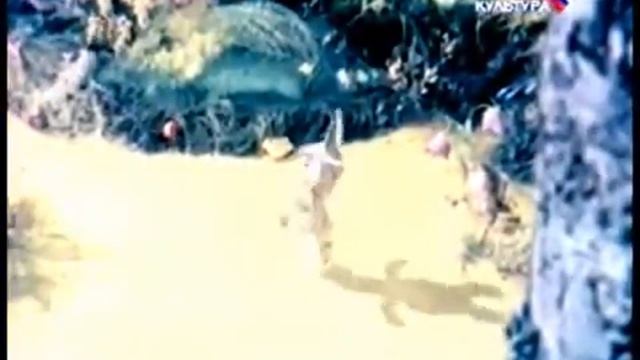 Клара Румянова «Что такое Новый год»