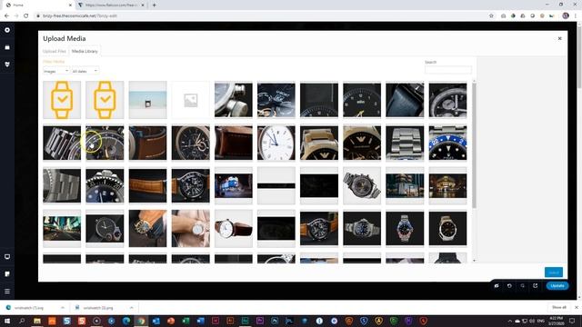 SVG Images | Brizy WORDPRESS (Free + Pro) смотреть онлайн