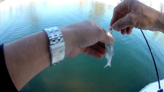 Мормоспиннинг ловля ,уклейки ,красноперки , окуня и жереха на .0,2 мормышку смотреть онлайн