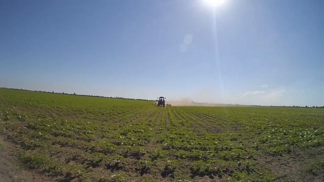 Боронование подсолнечника | Борона мотыга ротационная СТЕП РШ 5.6 смотреть онлайн