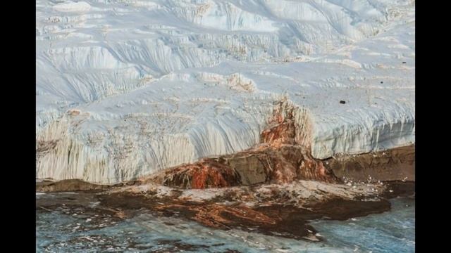 16 изумительных оптических иллюзий от матушки-природы: фотошоп отдыхает смотреть онлайн