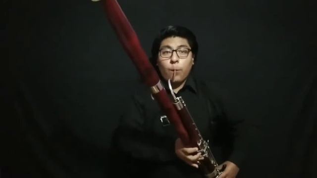 Pandillero N°1 (para fagot y piano) смотреть онлайн