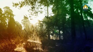 ? Чужая боль -  Протоирей Александр Старостенко #Земля_Православная