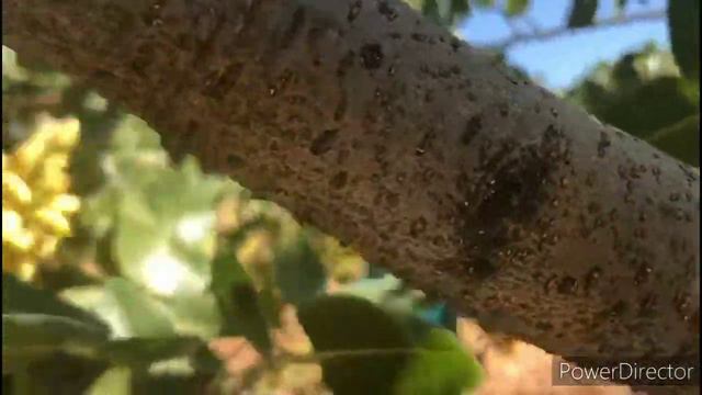 Муж-Магнат Где в Турции Зарабатывают Миллионы Династия Мужа Сколько Платит Рабочим в День? смотреть онлайн