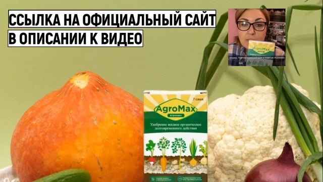 Сидели за одной партой: российские звезды, учившиеся в одной школе смотреть онлайн