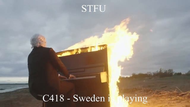 C418 - Sweden