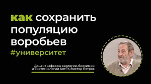 Как сохранить популяцию воробьев - орнитолог АлтГУ Виктор Петров на ТВ "Катунь 24"