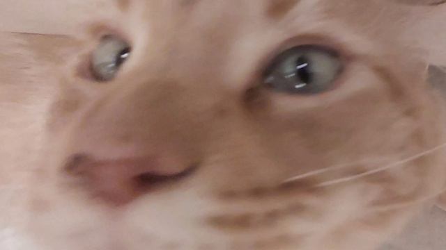 решил записать кавер, но на фоне гениальный диалог смотреть онлайн