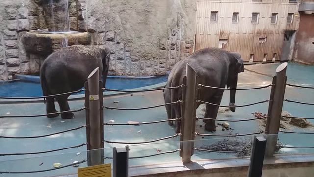 Филимон играет с картоном от коробке смотреть онлайн