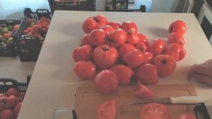 ОБСКИЕ КУПОЛА  БЕСПРОБЛЕМНЫЙ СОРТ