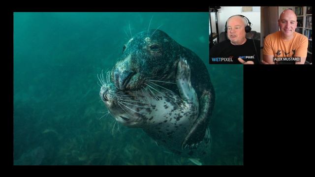 Adam and Alex's Favorite Seal Images смотреть онлайн
