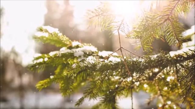 Вадим Егоров. Новогодняя Элегия смотреть онлайн