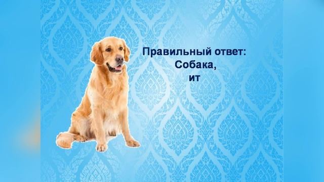 День благодарности/Интеллектуальная игра/1 марта Казахстан отмечает День благодарности смотреть онлайн