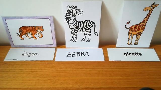 Wild animals riddles 2nd primary смотреть онлайн