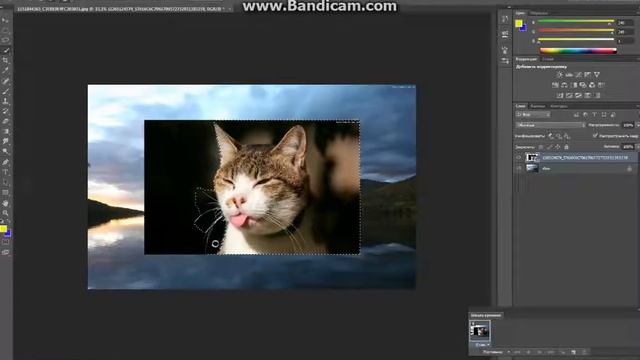 Как заменить задний фон на фотографии в программе фотошоп cs6 смотреть онлайн