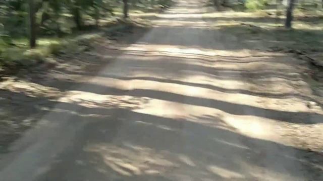 Горовастица - Нило-Столбенская пустынь (часть 2) смотреть онлайн