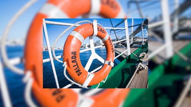 Самые Поразительные Деревья на Нашей Планете смотреть онлайн