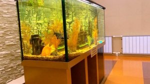 г.Омск санаторий ,,ОМСКИЙ,,