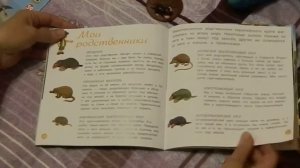 животные леса рассмотр журналов 2