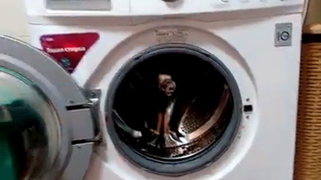 Стиральная машина смотреть онлайн