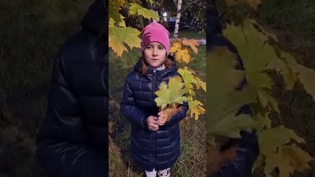 Стихотворение про осень смотреть онлайн